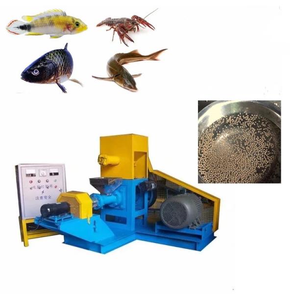 Best Quality Fish Feed Pellet Making Machine